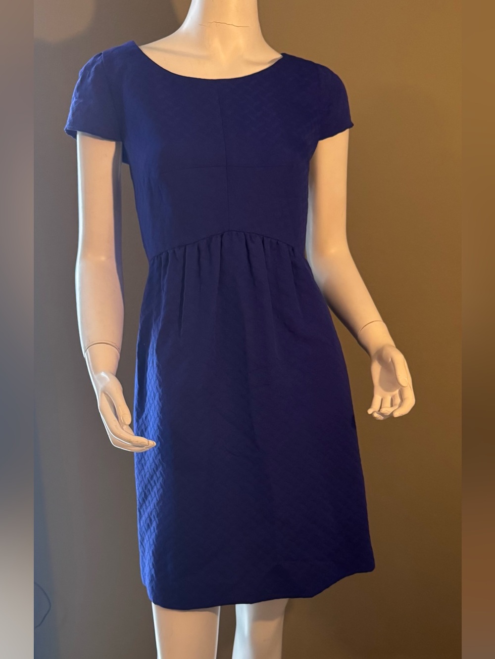 Anthropologie HD in Paris Short Sleeve Textured Mini Dress in Royal Blue